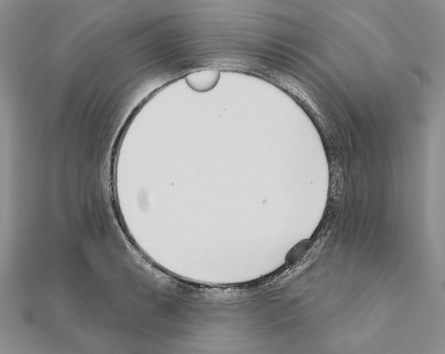 X0000110921087200907301557
