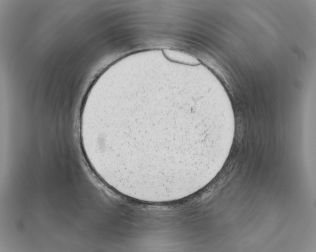 X0000110921088200907301557