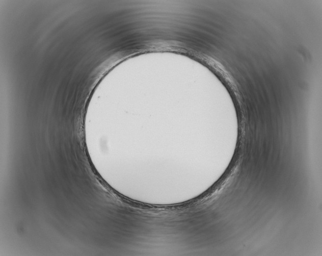 X0000110921089200907301557