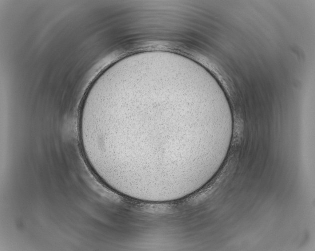 X0000110921090200907301557