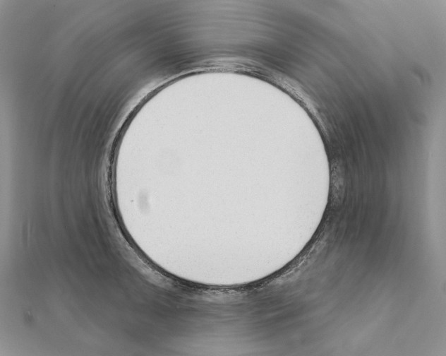 X0000110921091200907301557