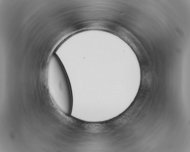 X0000110921092200907301557