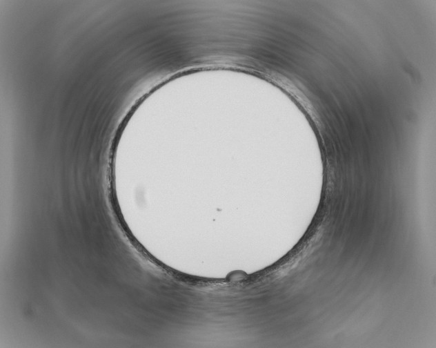 X0000110921093200907301557