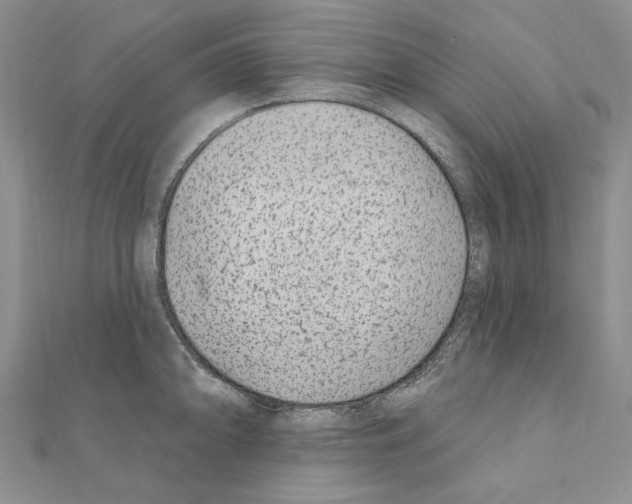 X0000110921094200907301557