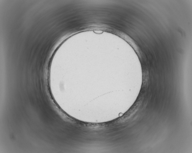 X0000110921099200907301557