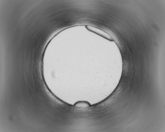 X0000110921100200907301557