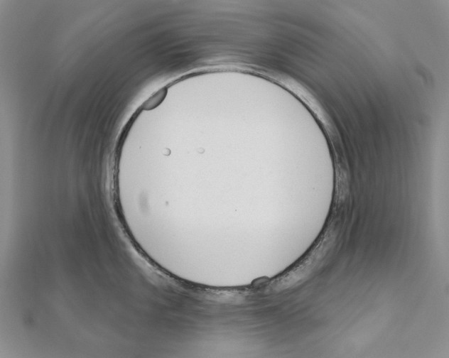 X0000110921101200907301557