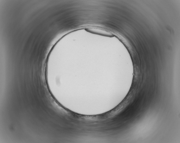 X0000110921102200907301557