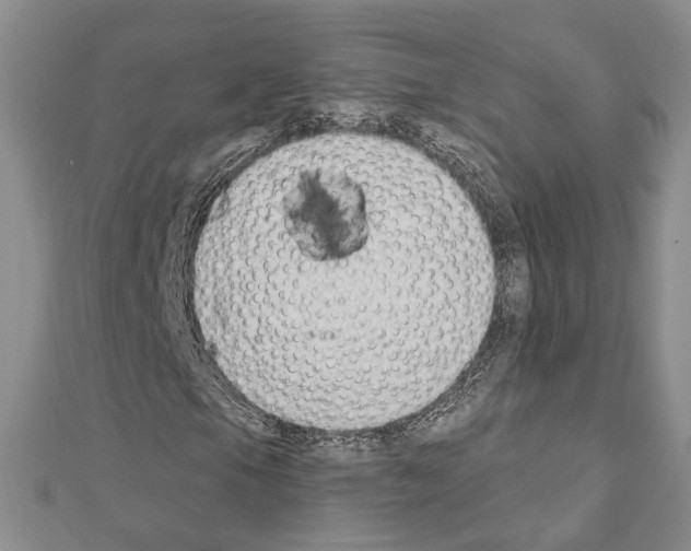 X0000110921105200907301556