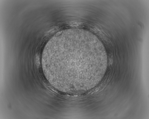 X0000110921106200907301556