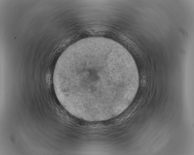 X0000110921108200907301556