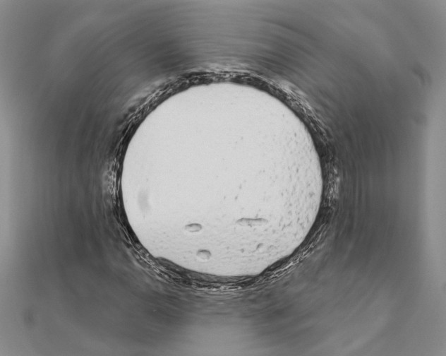 X0000110921110200907301556