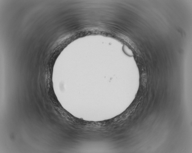 X0000110921111200907301556