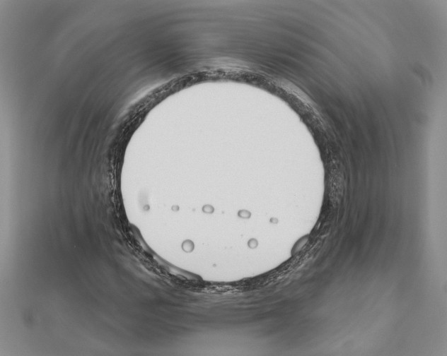 X0000110921112200907301556