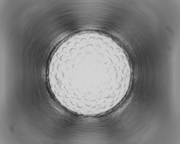 X0000110921113200907301556