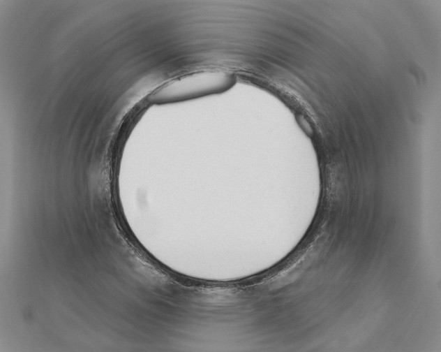 X0000110921114200907301556