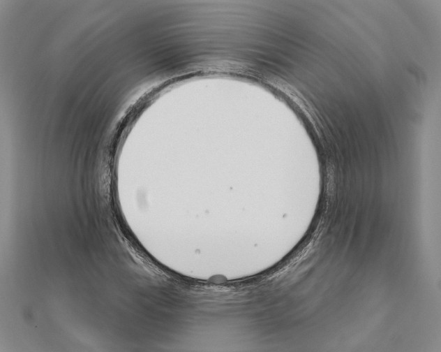 X0000110921115200907301556