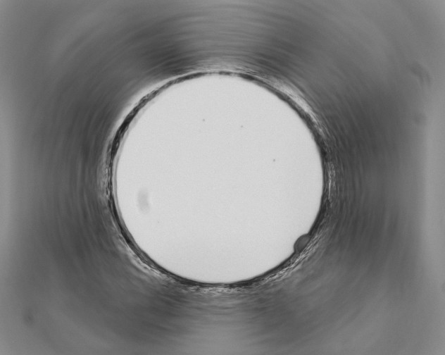 X0000110921116200907301556