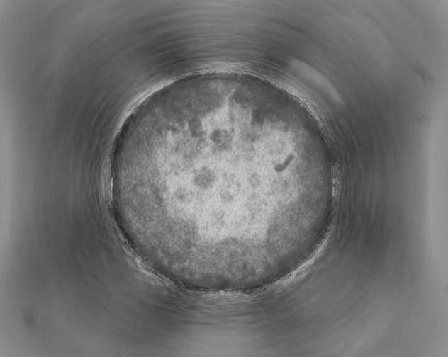 X0000110921117200907301556