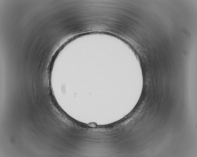 X0000110921118200907301556