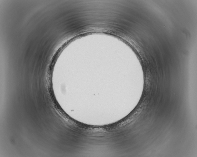 X0000110921119200907301556