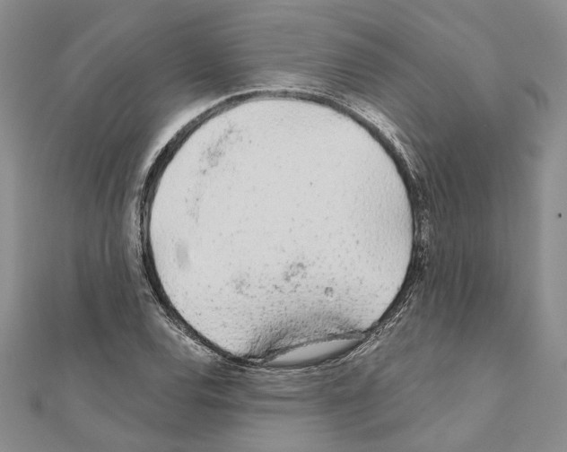 X0000110921120200907301556