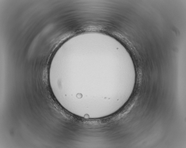 X0000110921121200907301556