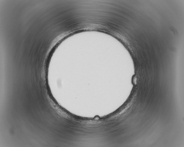 X0000110921122200907301556