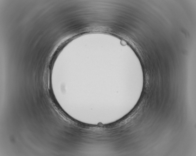 X0000110921123200907301556