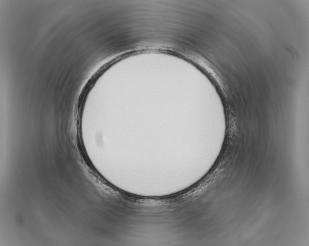 X0000110921124200907301556
