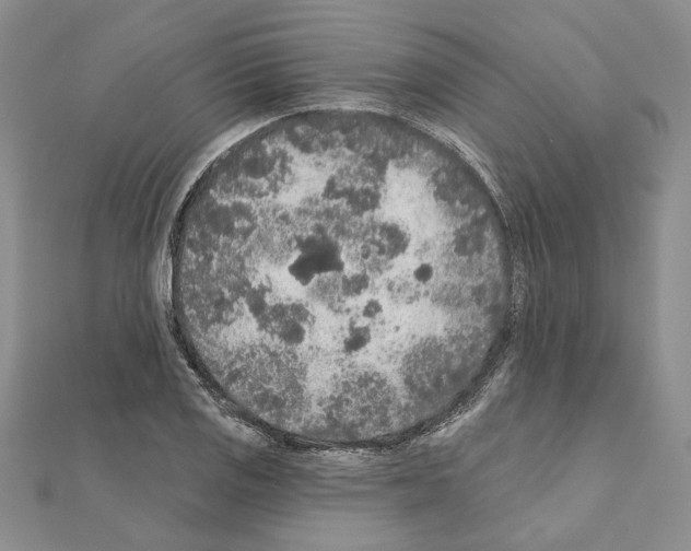 X0000110921125200907301556