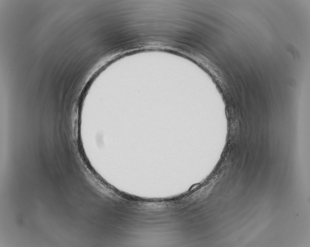 X0000110921126200907301557