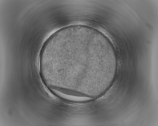 X0000110921127200907301557