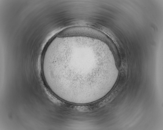X0000110921128200907301557