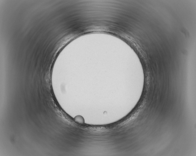 X0000110921129200907301557