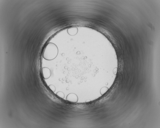 X0000110921130200907301557