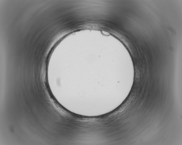 X0000110921131200907301557
