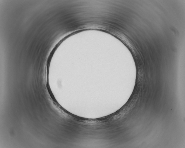 X0000110921132200907301557