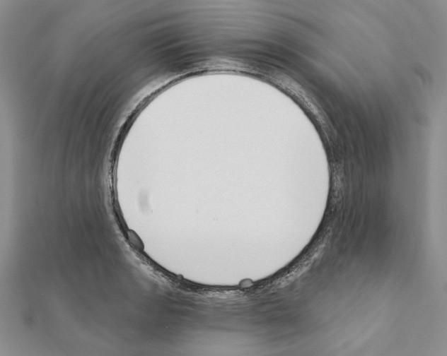 X0000110921133200907301557