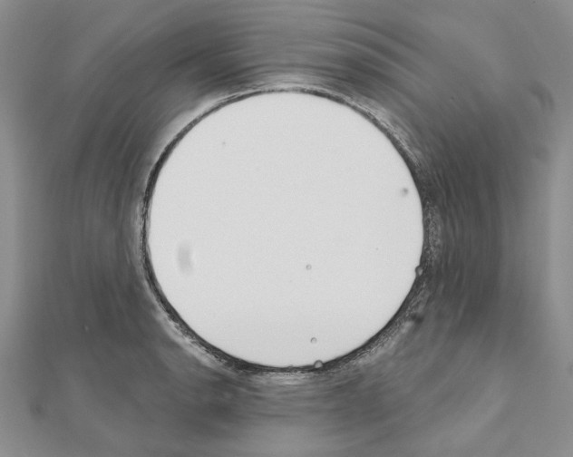 X0000110921134200907301557