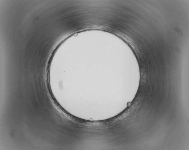 X0000110921135200907301557