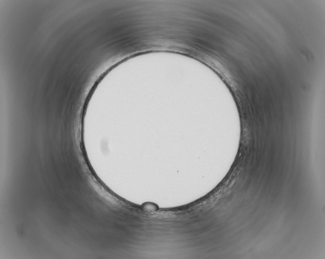 X0000110921136200907301557