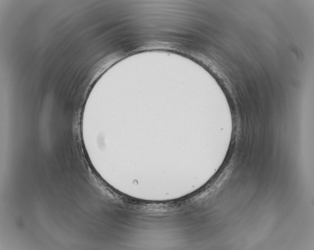 X0000110921137200907301557
