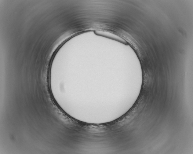 X0000110921138200907301557