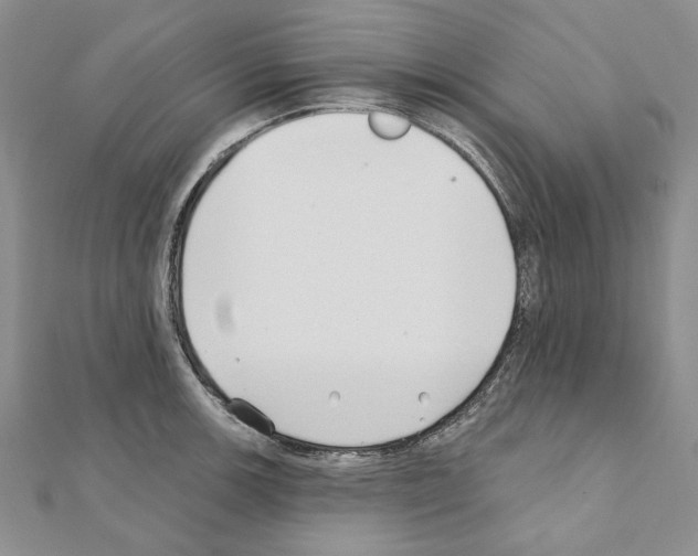 X0000110921139200907301557