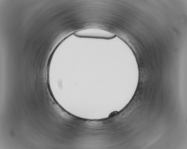 X0000110921140200907301557