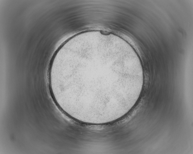X0000110921141200907301557