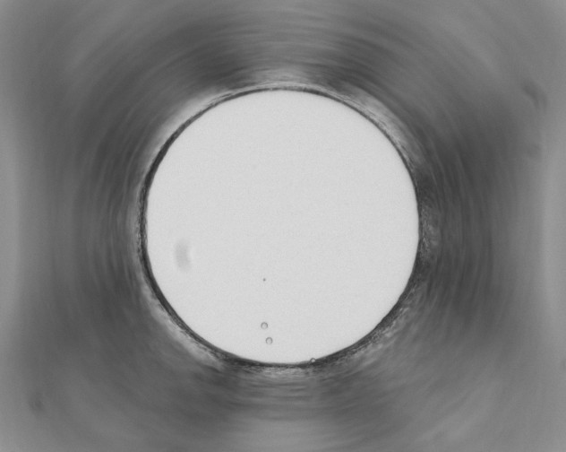X0000110921142200907301557