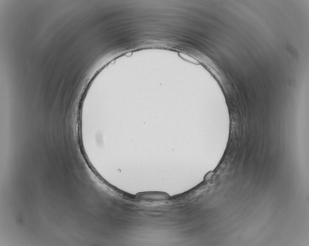 X0000110921143200907301557