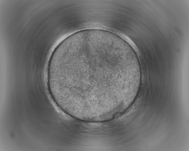 X0000110921144200907301557